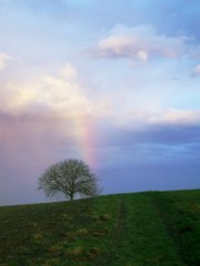 Der erste Regenbogen im Jahr 2011