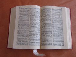 bibel-03_250x188